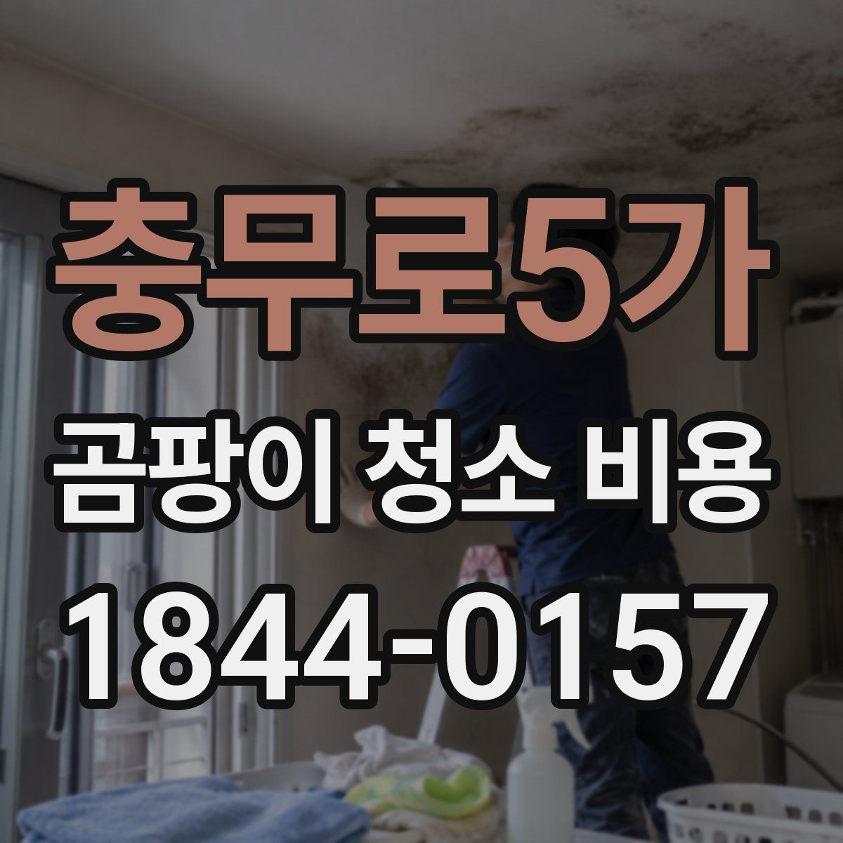 충무로5가 곰팡이 청소 비용