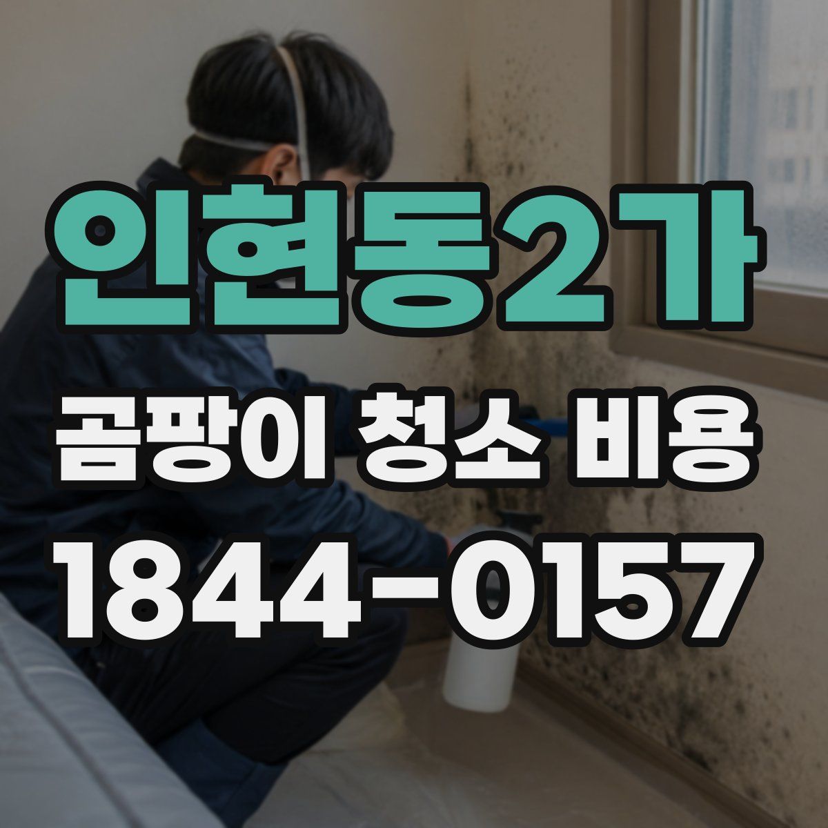 인현동2가 곰팡이 청소 비용