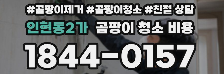 인현동2가 곰팡이 청소 비용