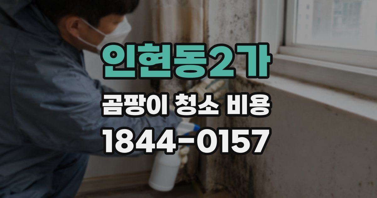 인현동2가 곰팡이 청소 비용