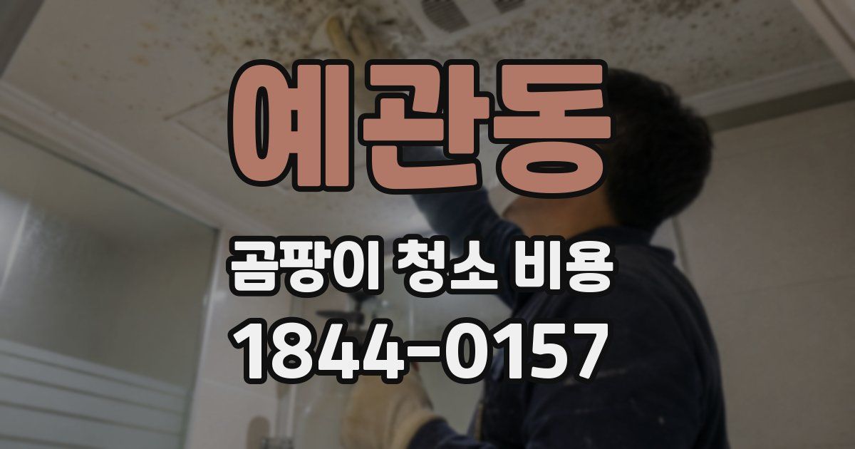 예관동 곰팡이 청소 비용