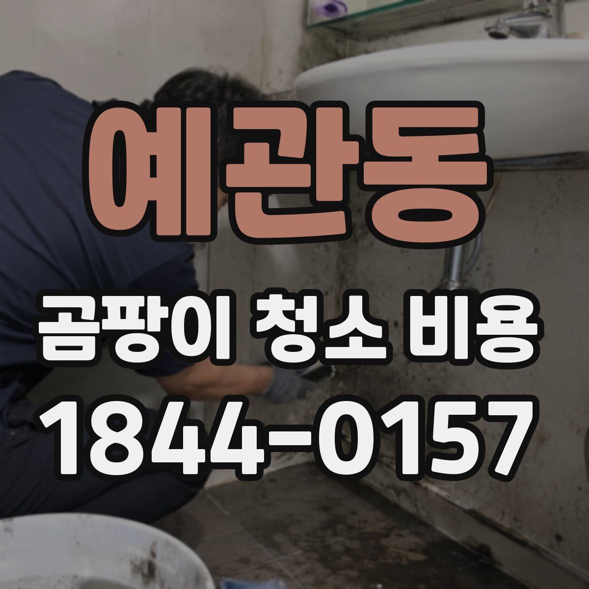 예관동 곰팡이 청소 비용