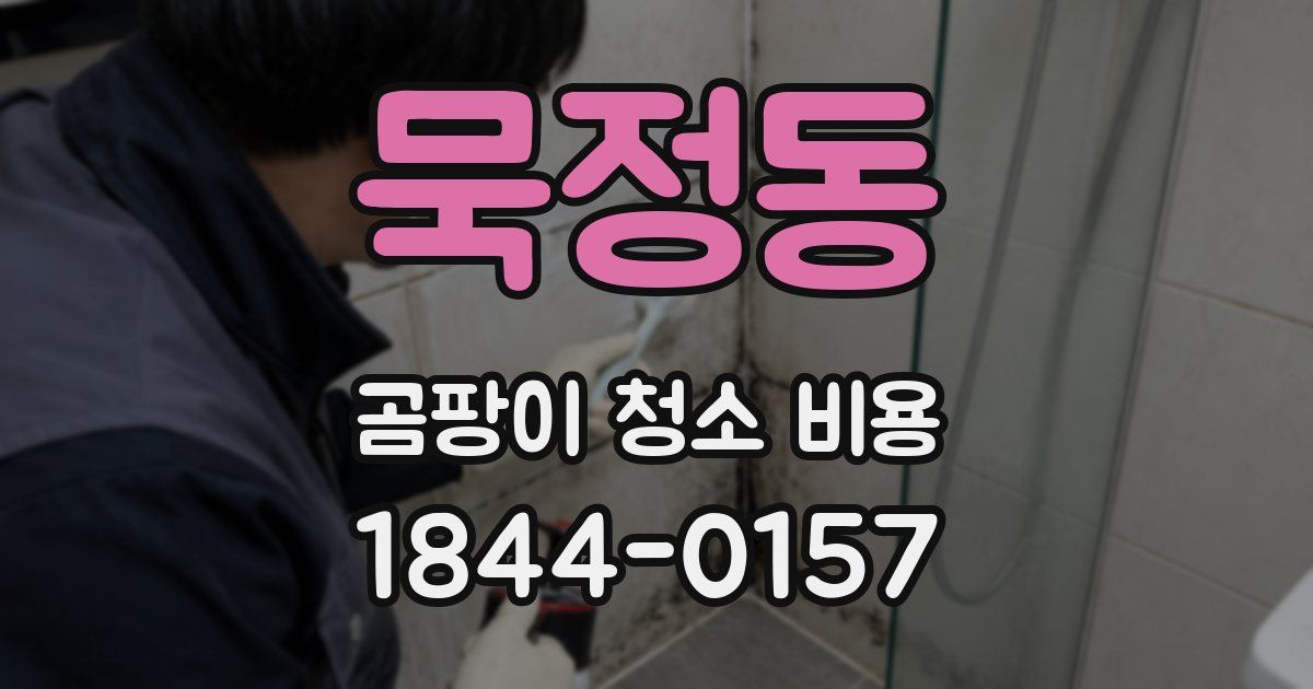 묵정동 곰팡이 청소 비용