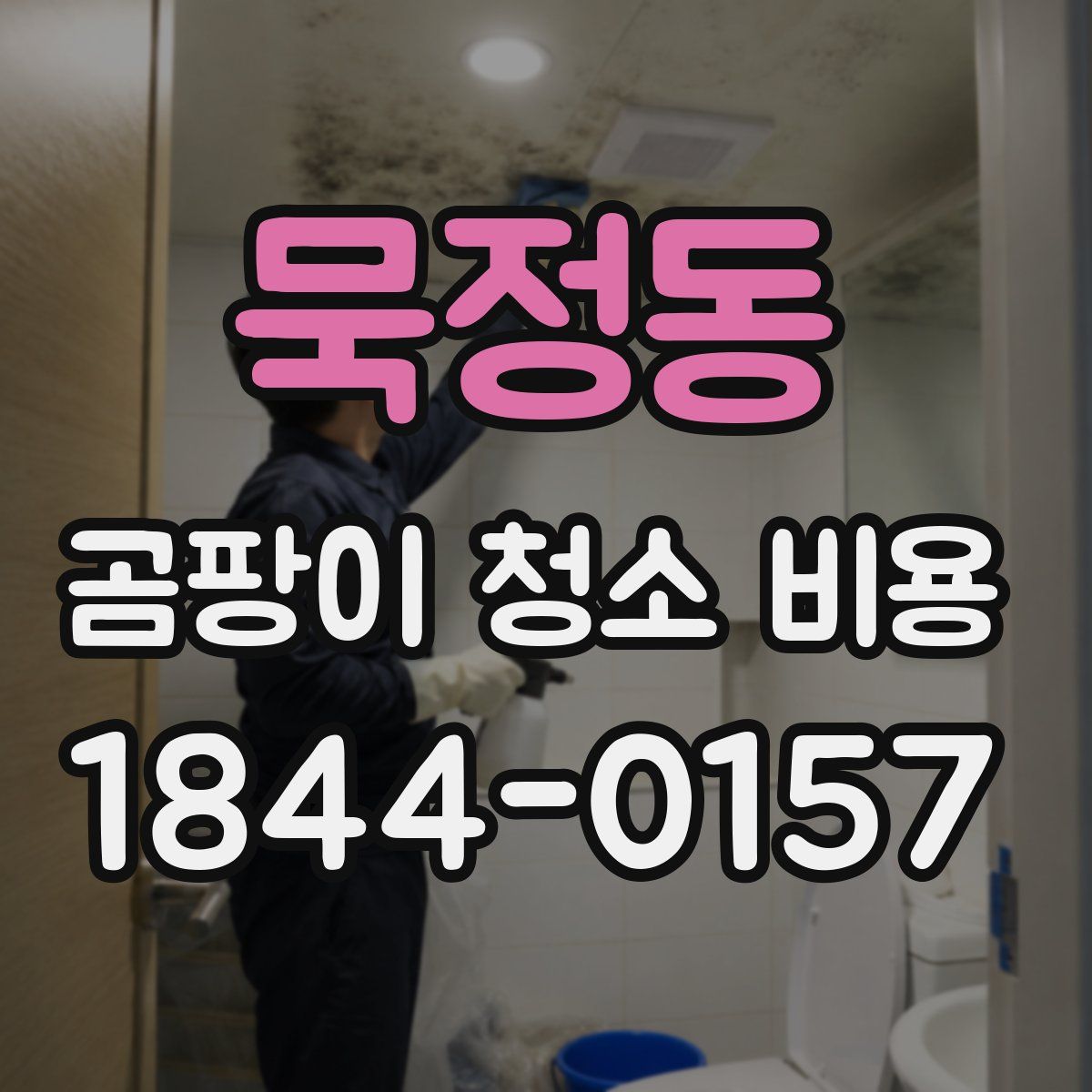 묵정동 곰팡이 청소 비용