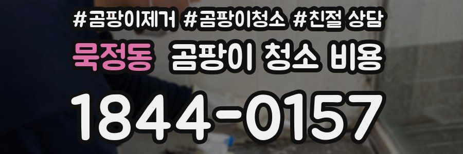 묵정동 곰팡이 청소 비용