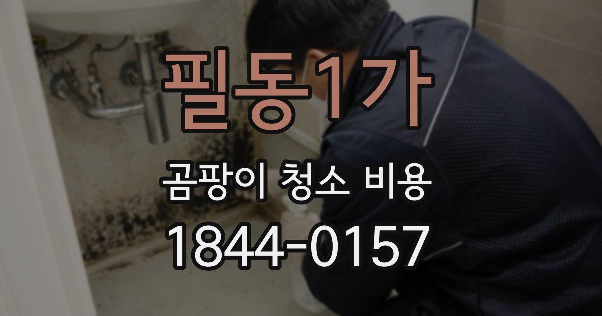 필동1가 곰팡이 청소 비용