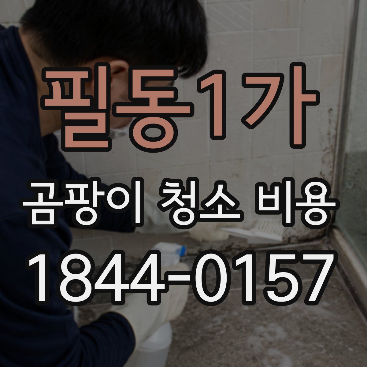 필동1가 곰팡이 청소 비용