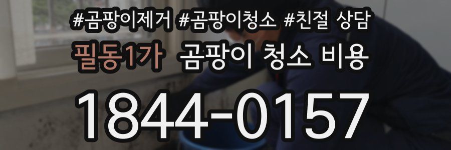 필동1가 곰팡이 청소 비용