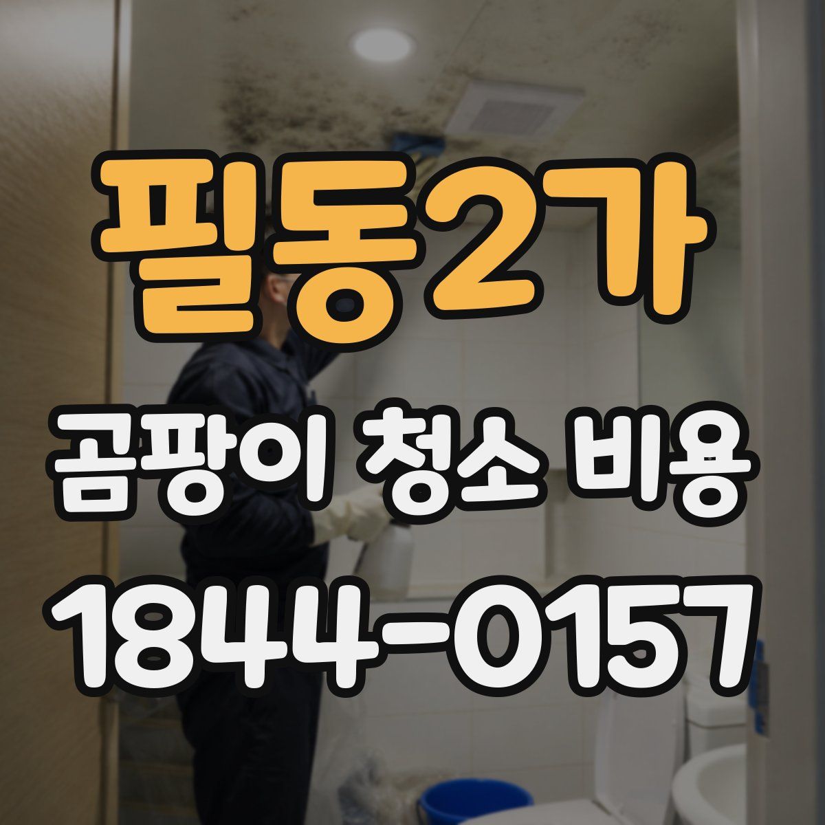 필동2가 곰팡이 청소 비용