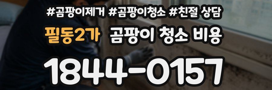 필동2가 곰팡이 청소 비용