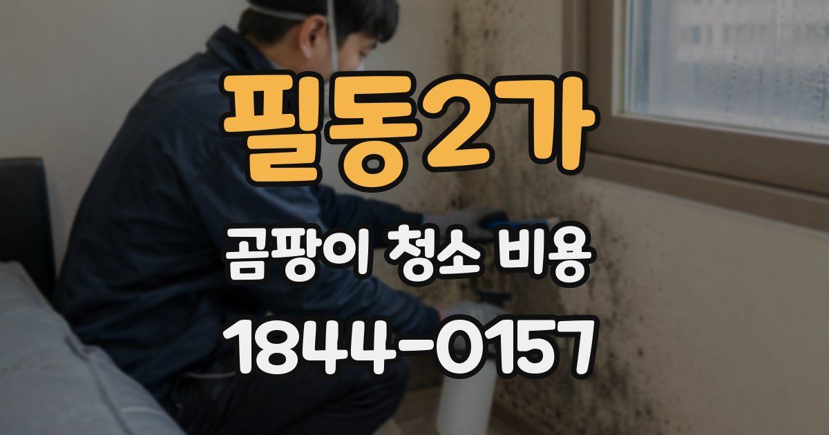 필동2가 곰팡이 청소 비용