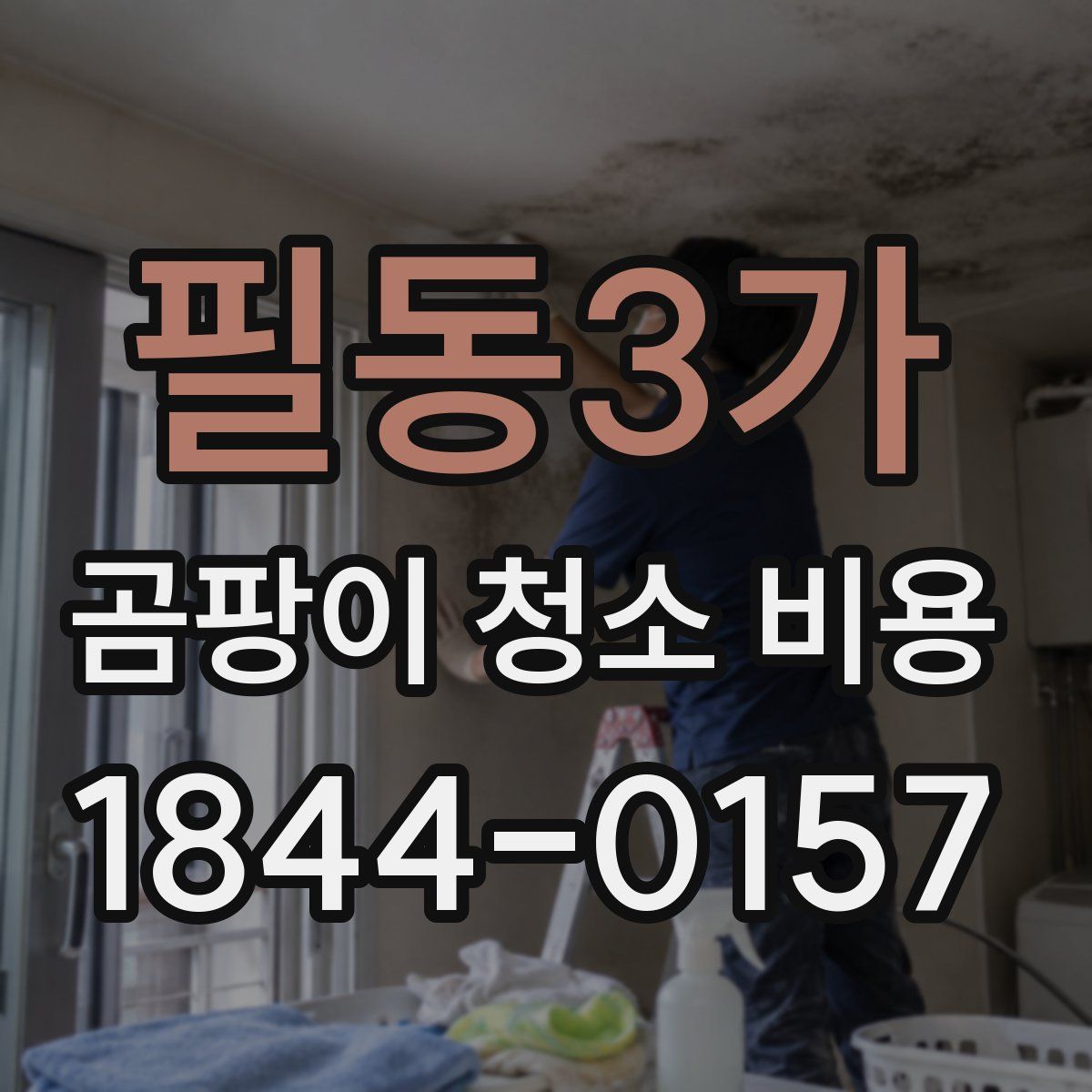 필동3가 곰팡이 청소 비용