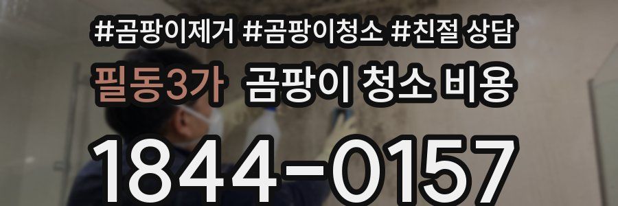 필동3가 곰팡이 청소 비용