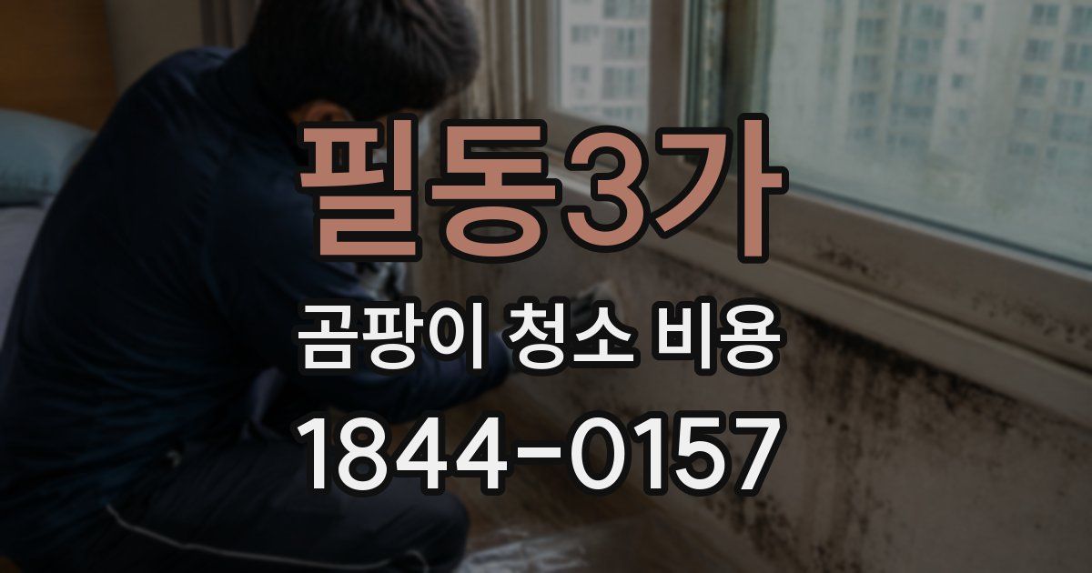 필동3가 곰팡이 청소 비용
