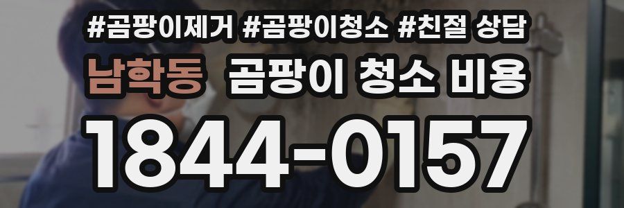 남학동 곰팡이 청소 비용
