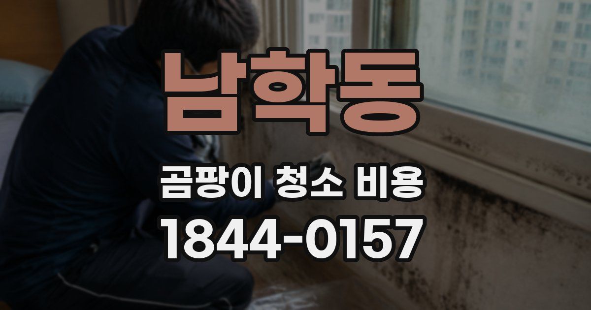 남학동 곰팡이 청소 비용