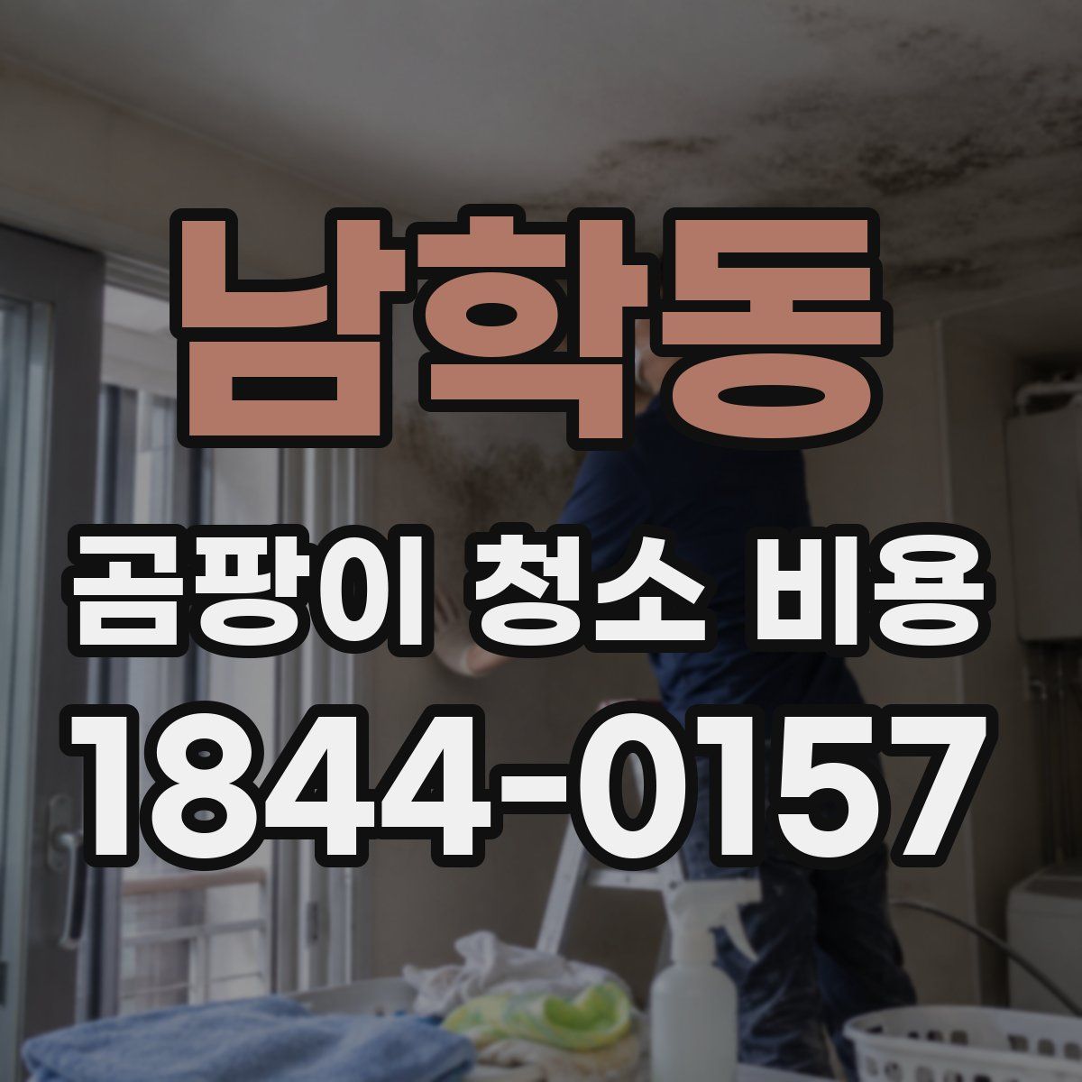 남학동 곰팡이 청소 비용