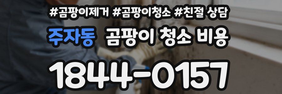 주자동 곰팡이 청소 비용