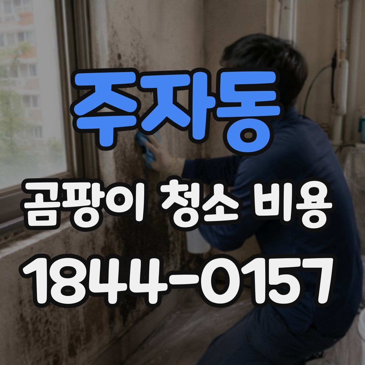 주자동 곰팡이 청소 비용