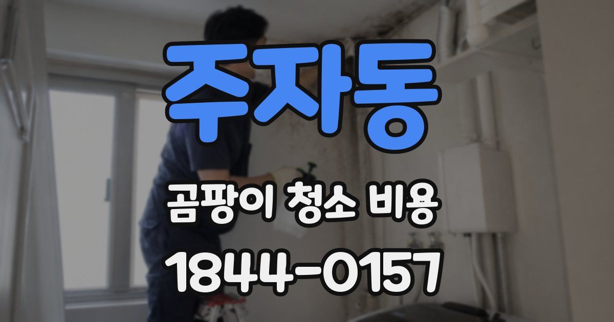 주자동 곰팡이 청소 비용
