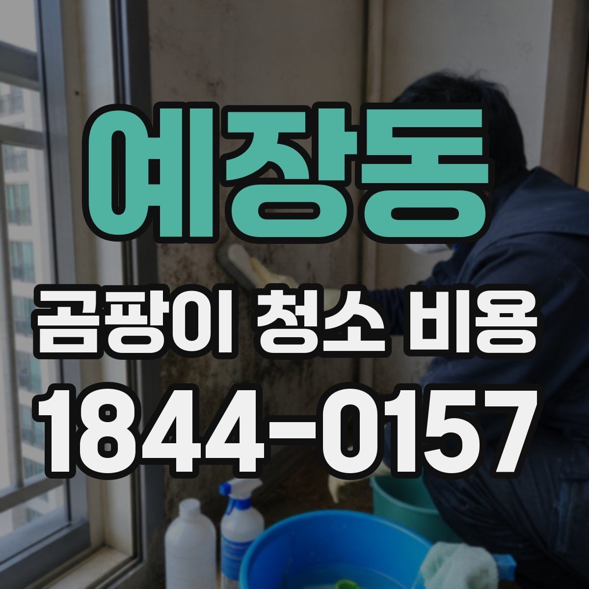 예장동 곰팡이 청소 비용 비교 시 실제로 봐야 할 기준