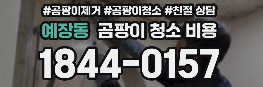 예장동 곰팡이 청소 비용