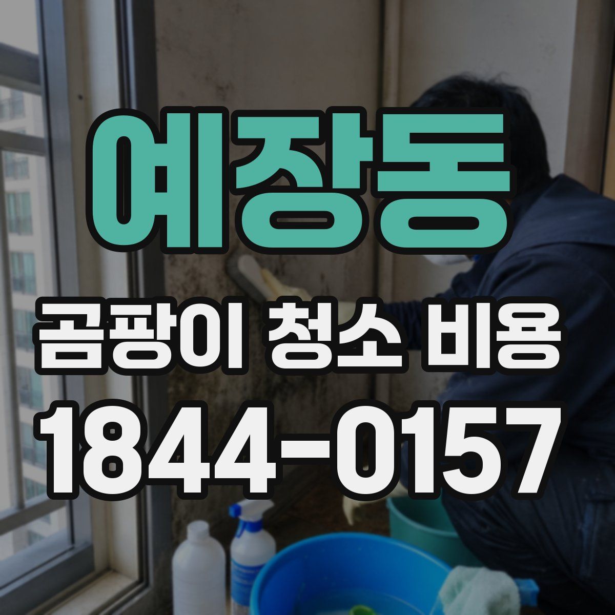 예장동 곰팡이 청소 비용