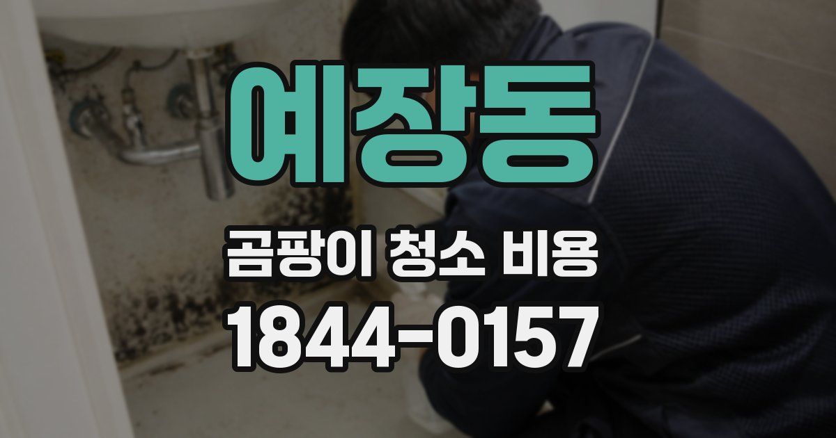 예장동 곰팡이 청소 비용