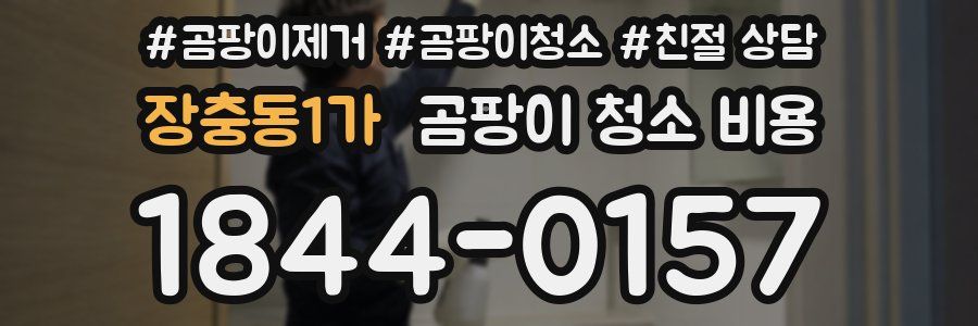 장충동1가 곰팡이 청소 비용