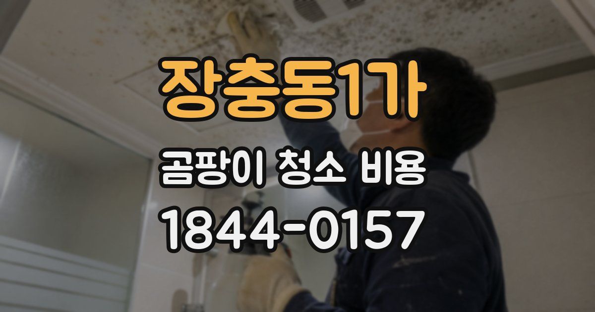 장충동1가 곰팡이 청소 비용