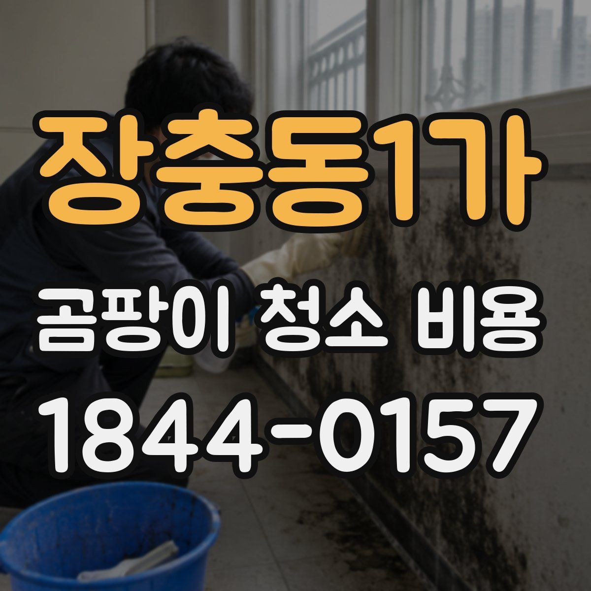 장충동1가 곰팡이 청소 비용