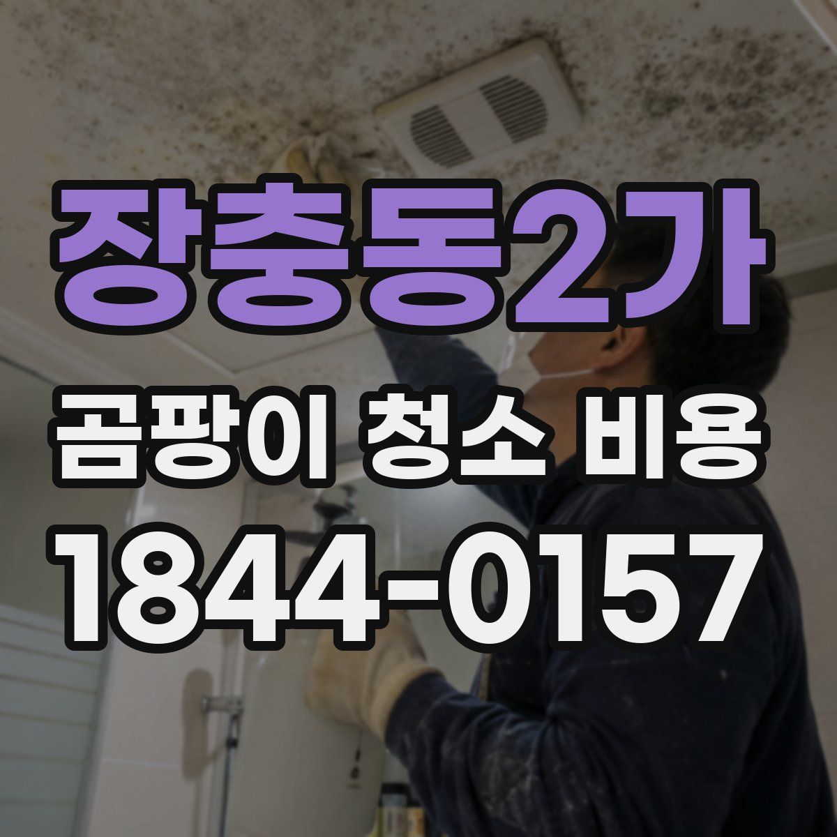 장충동2가 곰팡이 청소 비용