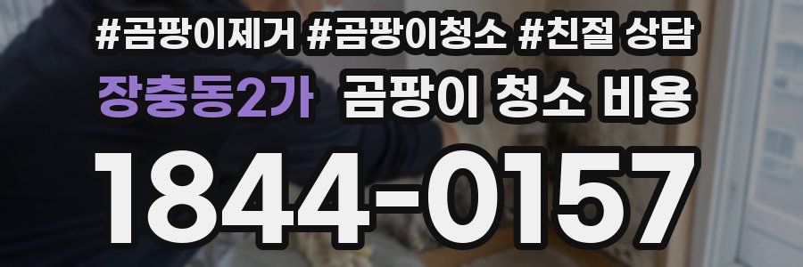 장충동2가 곰팡이 청소 비용