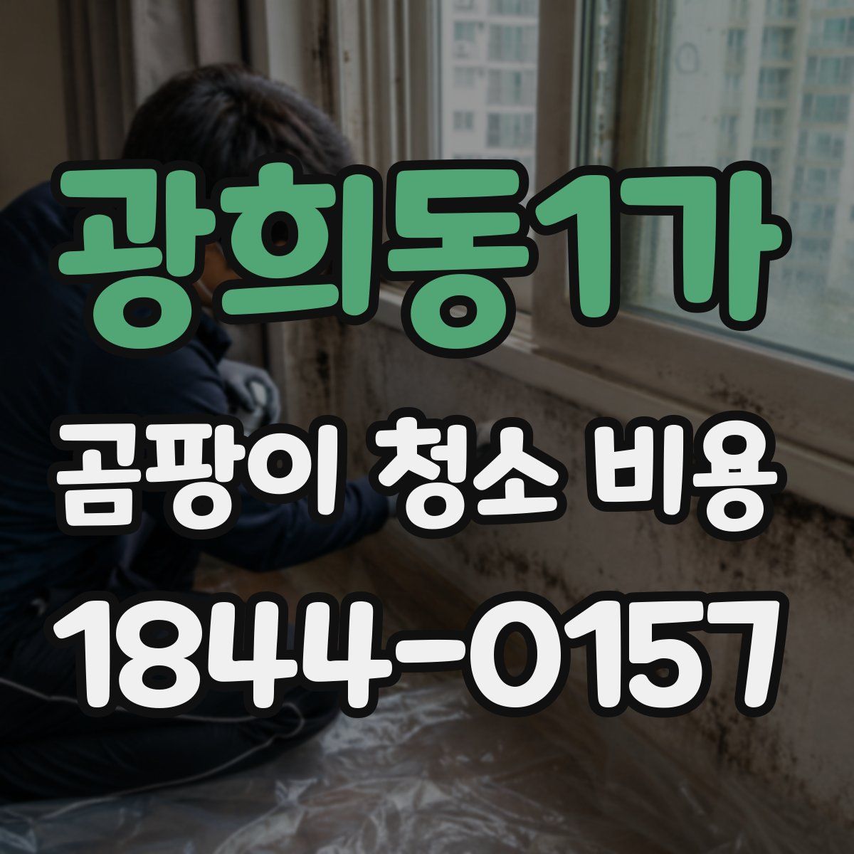 광희동1가 곰팡이 청소 비용