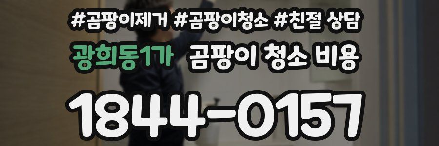 광희동1가 곰팡이 청소 비용