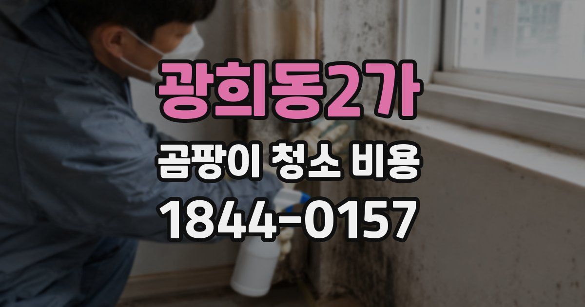 광희동2가 곰팡이 청소 비용