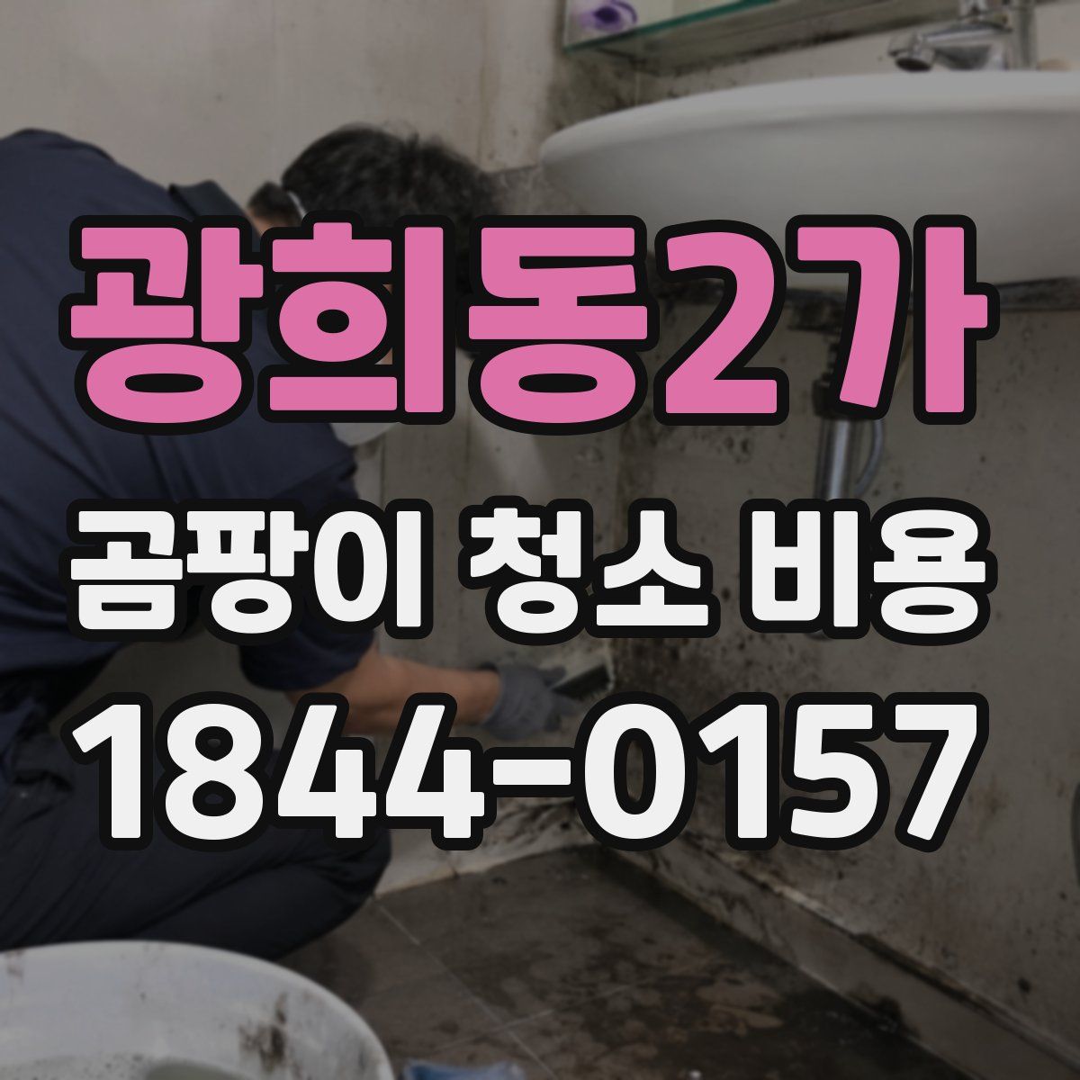 광희동2가 곰팡이 청소 비용