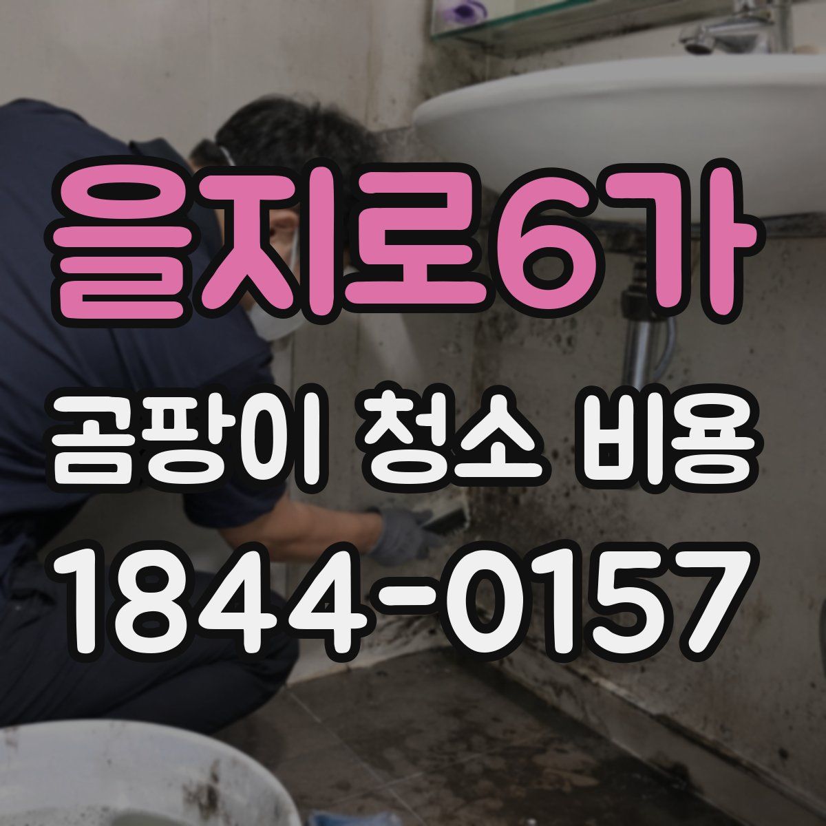 을지로6가 곰팡이 청소 비용