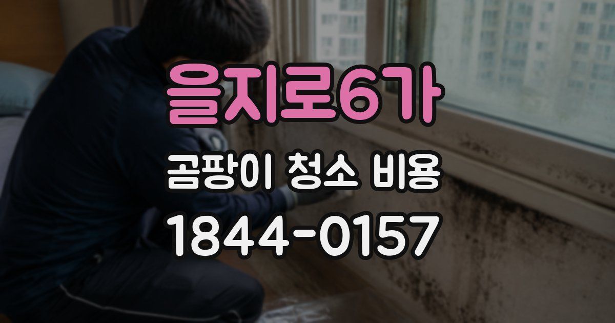 을지로6가 곰팡이 청소 비용