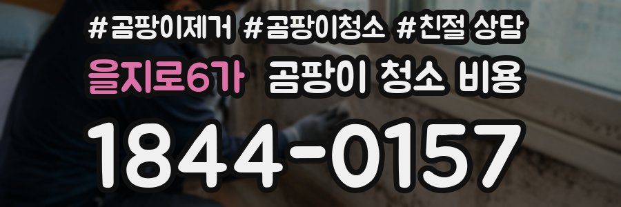 을지로6가 곰팡이 청소 비용