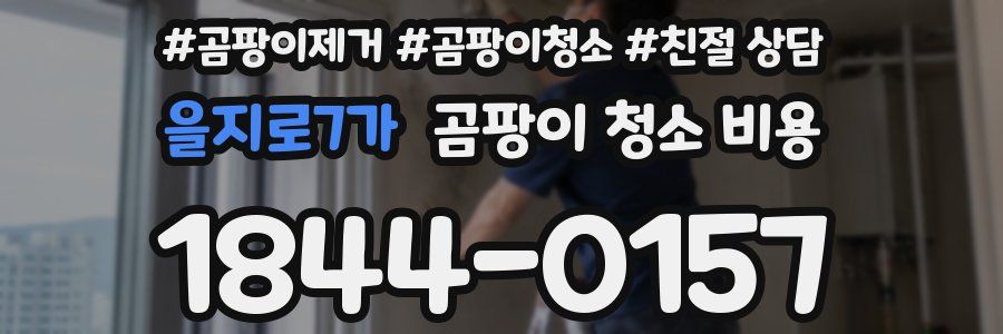 을지로7가 곰팡이 청소 비용