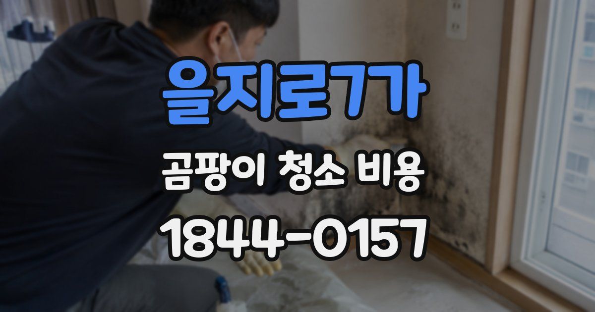 을지로7가 곰팡이 청소 비용