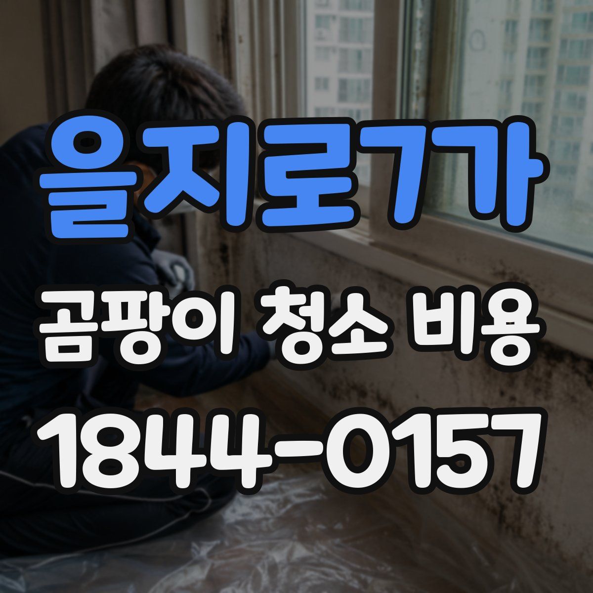 을지로7가 곰팡이 청소 비용