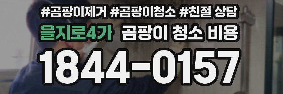 을지로4가 곰팡이 청소 비용