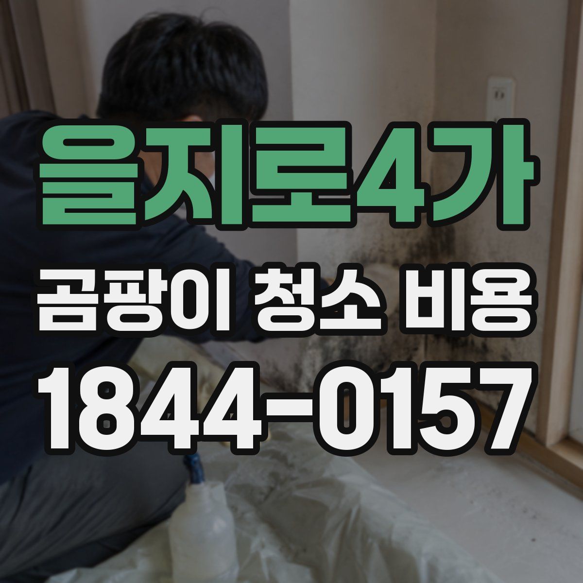 을지로4가 곰팡이 청소 비용