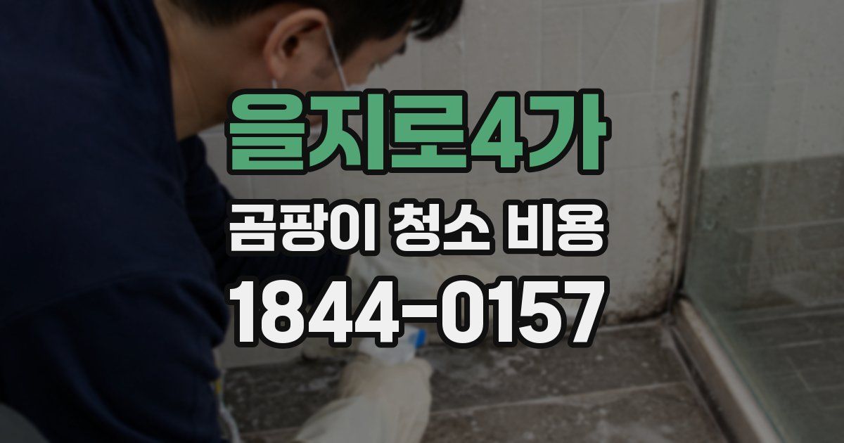 을지로4가 곰팡이 청소 비용