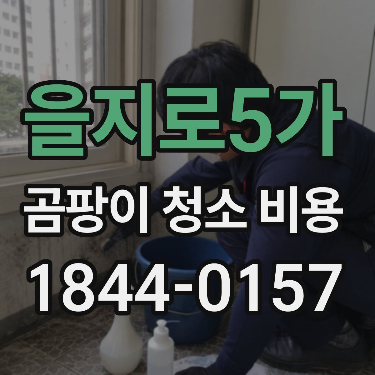 을지로5가 곰팡이 청소 비용