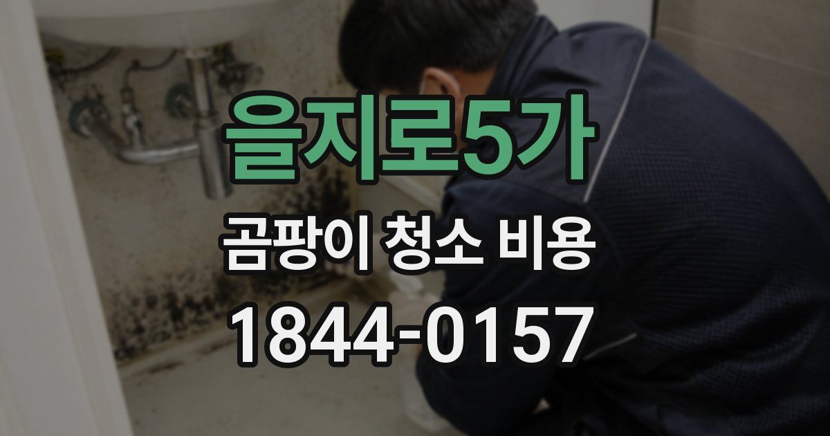 을지로5가 곰팡이 청소 비용