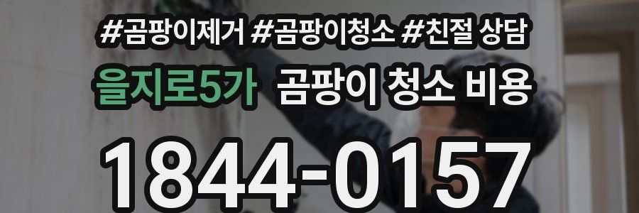 을지로5가 곰팡이 청소 비용