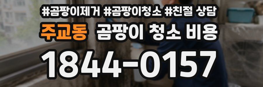 주교동 곰팡이 청소 비용